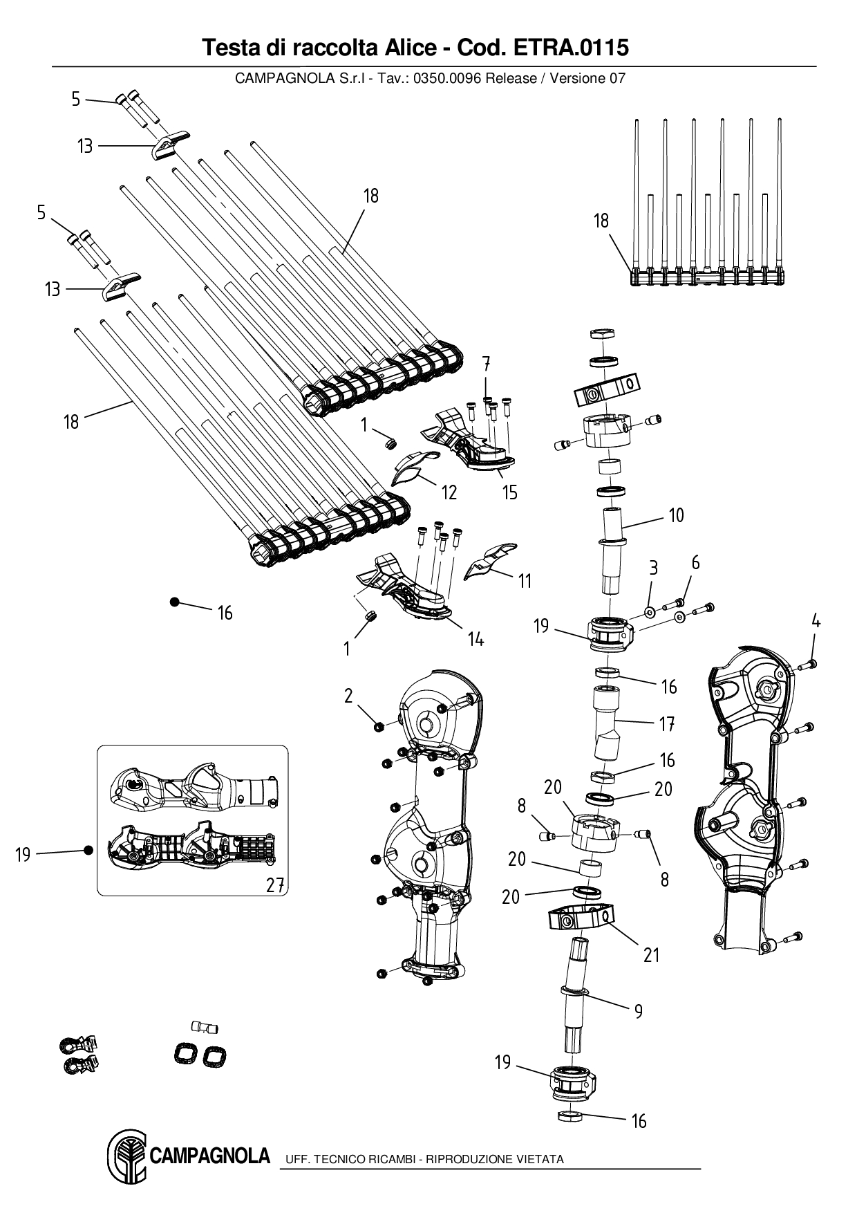 ETRA.0115_Testa di raccolta Alice